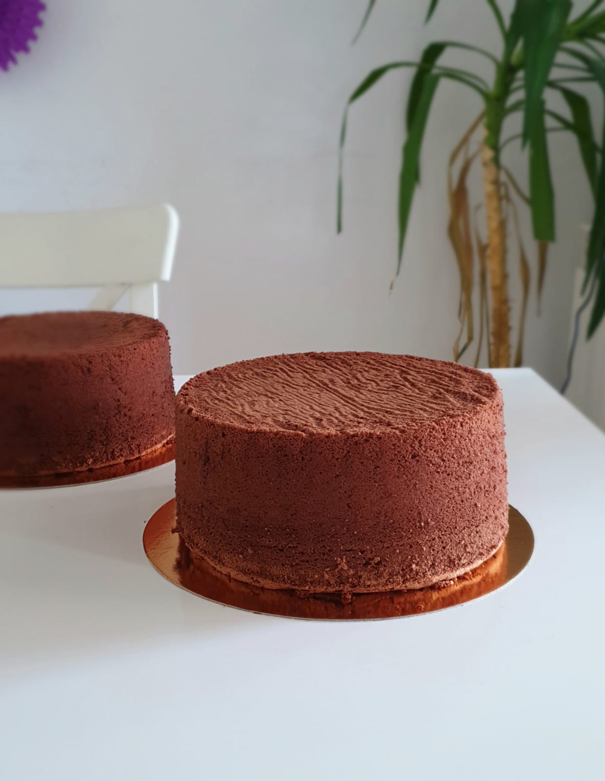inertia Orthodox Shabby עוגת שוקולד גבוהה - הדר שפירא